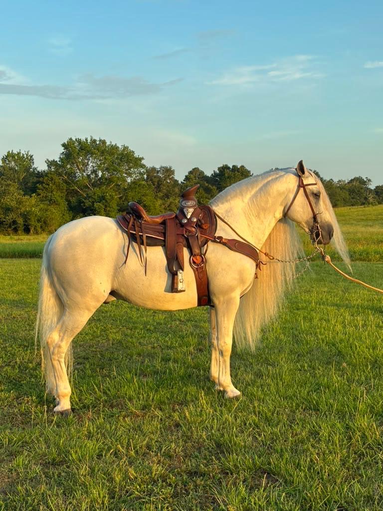 Horse for quinceañera grand entrance at Inspira Ranch — venue near Houston TX