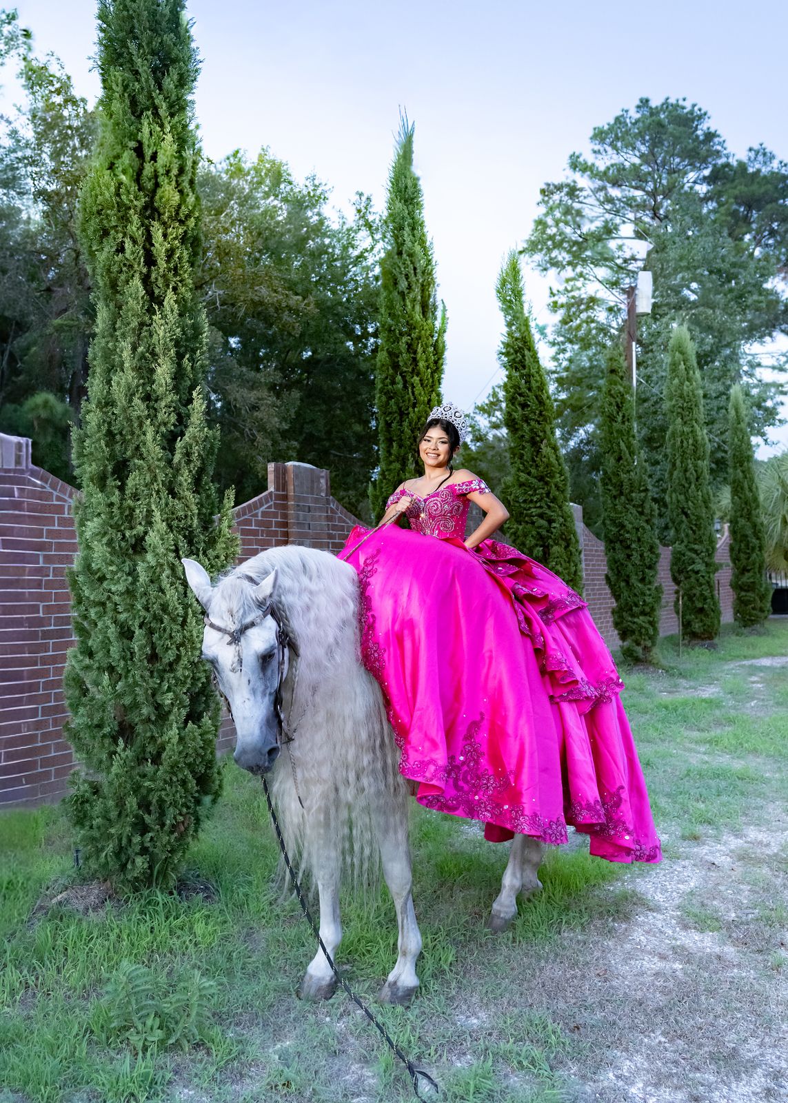 Quinceañera in a pink gown riding a white horse along the cypress-lined ranch drive