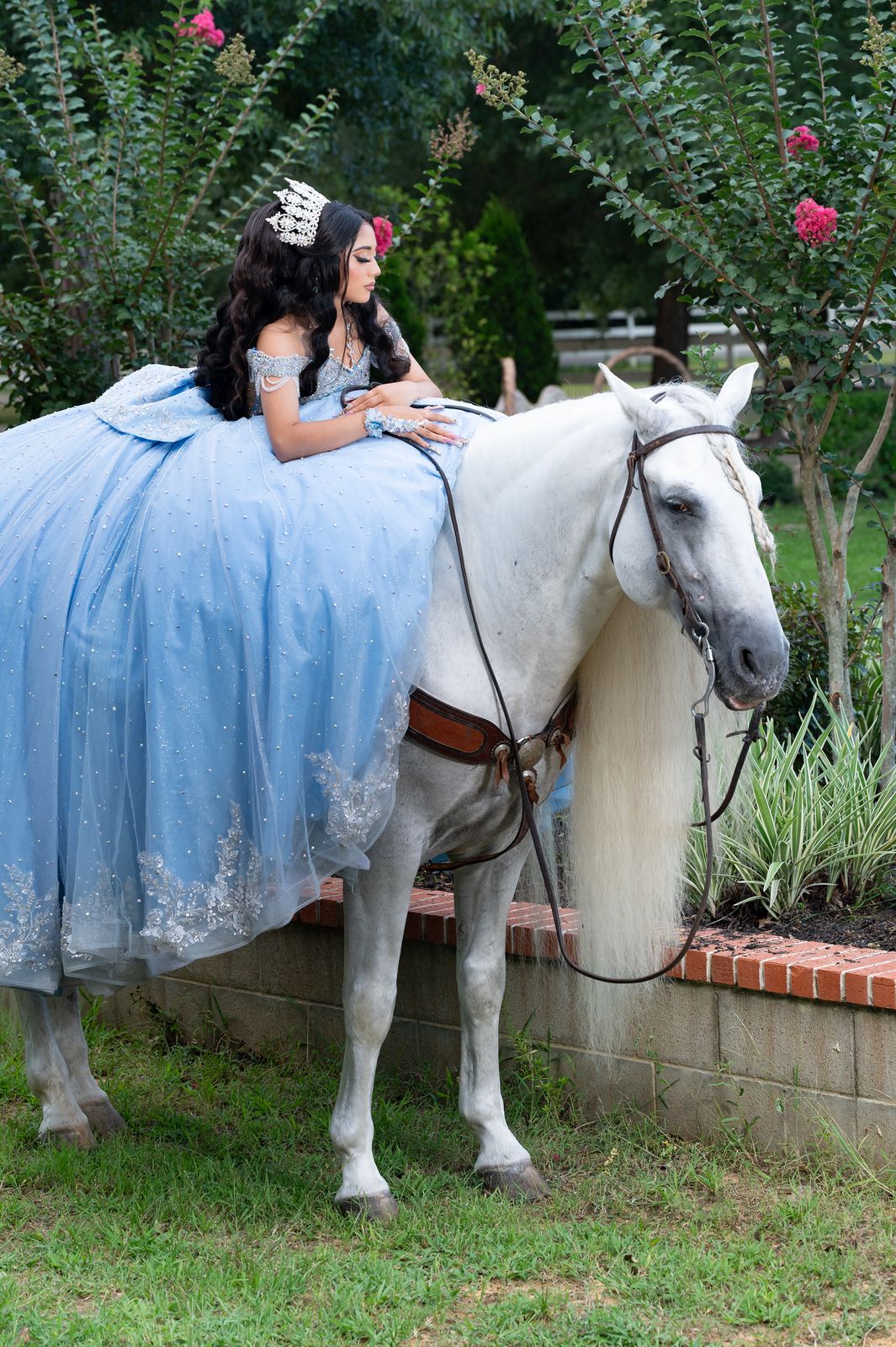 White horse draped in a flowing blue quinceañera gown by the garden