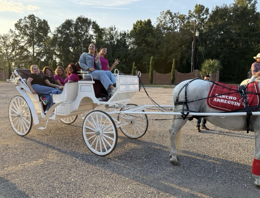 Horse and carriage for weddings at Inspira Ranch — quinceañera and wedding venue near Houston TX